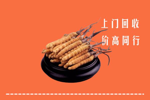 高价求购：鄂托克旗回收散虫草