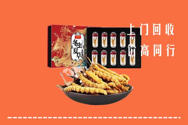 鄂托克旗回收虫草